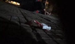 打架爆料视频大全,还原街头冲突瞬间